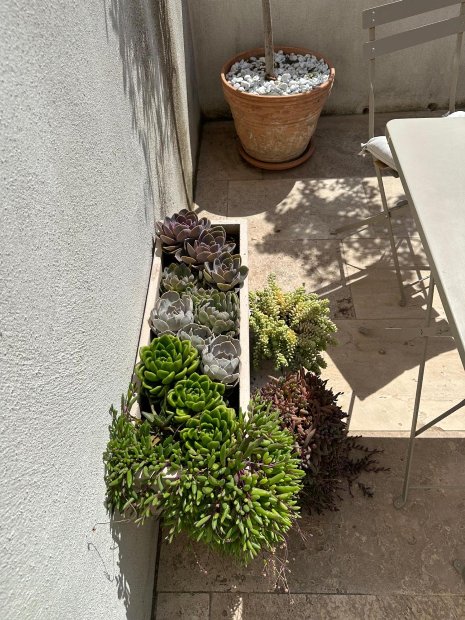 Appartements 3 Etoiles Terrasse Ou Patio Intra-Muros エーグ・モルト エクステリア 写真